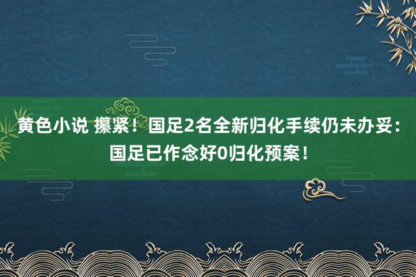 黄色小说 攥紧！国足2名全新归化手续仍未办妥：国足已作念好0归化预案！