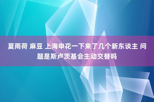 夏雨荷 麻豆 上海申花一下来了几个新东谈主 问题是斯卢茨基会主动交替吗