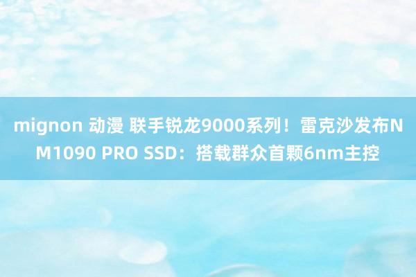 mignon 动漫 联手锐龙9000系列！雷克沙发布NM1090 PRO SSD：搭载群众首颗6nm主控