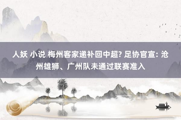 人妖 小说 梅州客家递补回中超? 足协官宣: 沧州雄狮、广州队未通过联赛准入