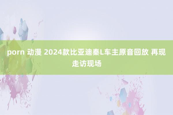 porn 动漫 2024款比亚迪秦L车主原音回放 再现走访现场