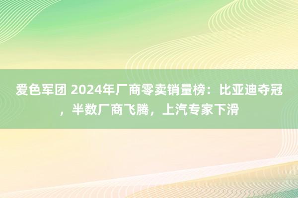 爱色军团 2024年厂商零卖销量榜：比亚迪夺冠，半数厂商飞腾，上汽专家下滑