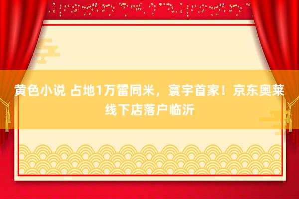 黄色小说 占地1万雷同米，寰宇首家！京东奥莱线下店落户临沂