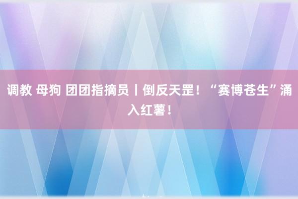 调教 母狗 团团指摘员丨倒反天罡！“赛博苍生”涌入红薯！