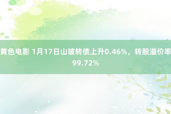 黄色电影 1月17日山玻转债上升0.46%，转股溢价率99.72%