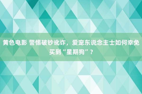 黄色电影 警惕破钞讹诈，爱宠东说念主士如何幸免买到“星期狗”？